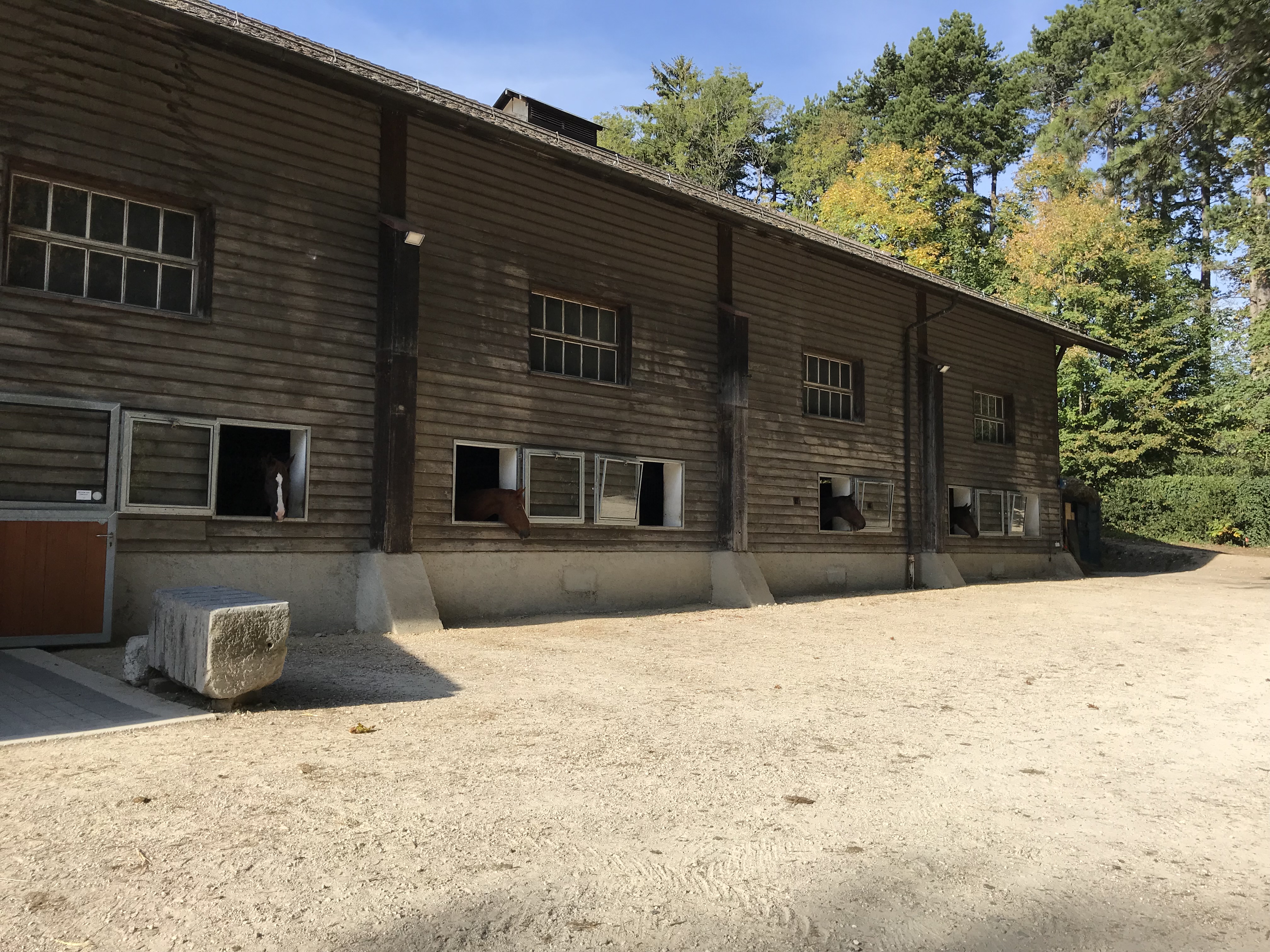 Façade des boxes aux Ecuries de Bonmont, chevaux à la fenêtre