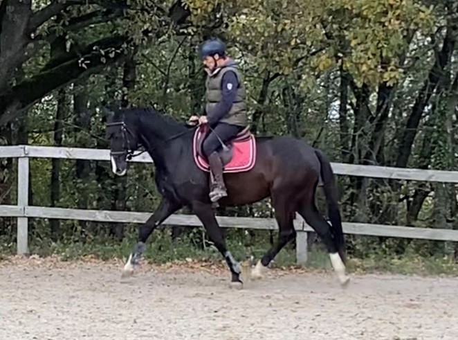 Kenzo de Bonmont