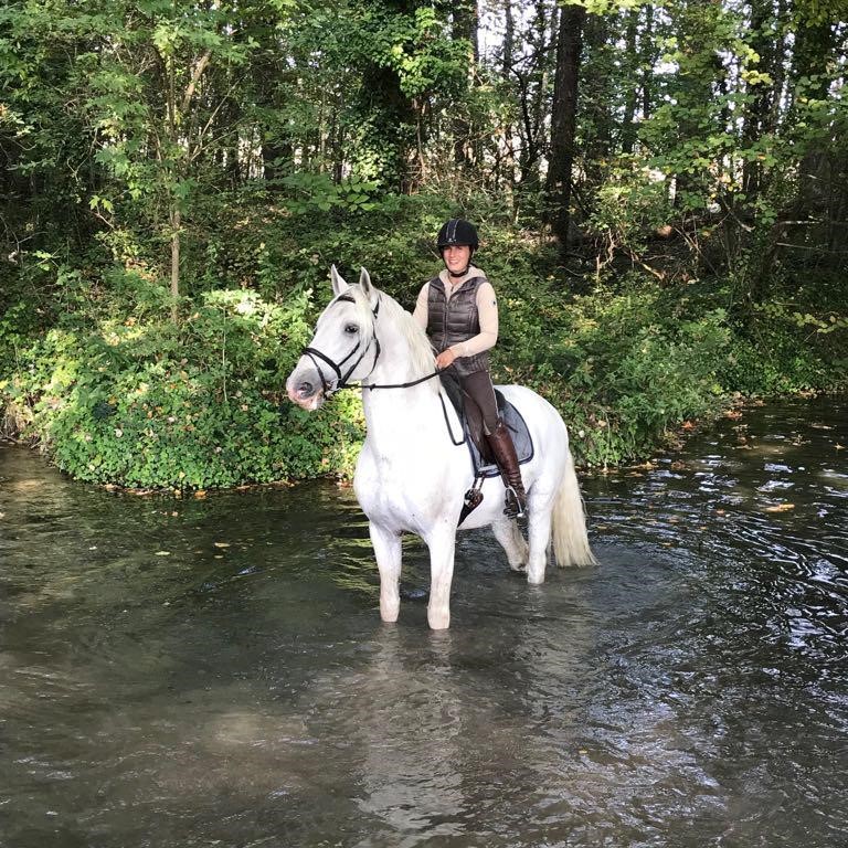 Cheval et cavalière se promenant dans l'eau