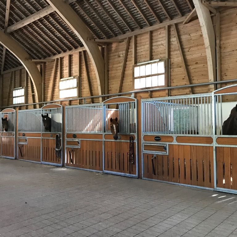 Manège couvert vu depuis les boxes
