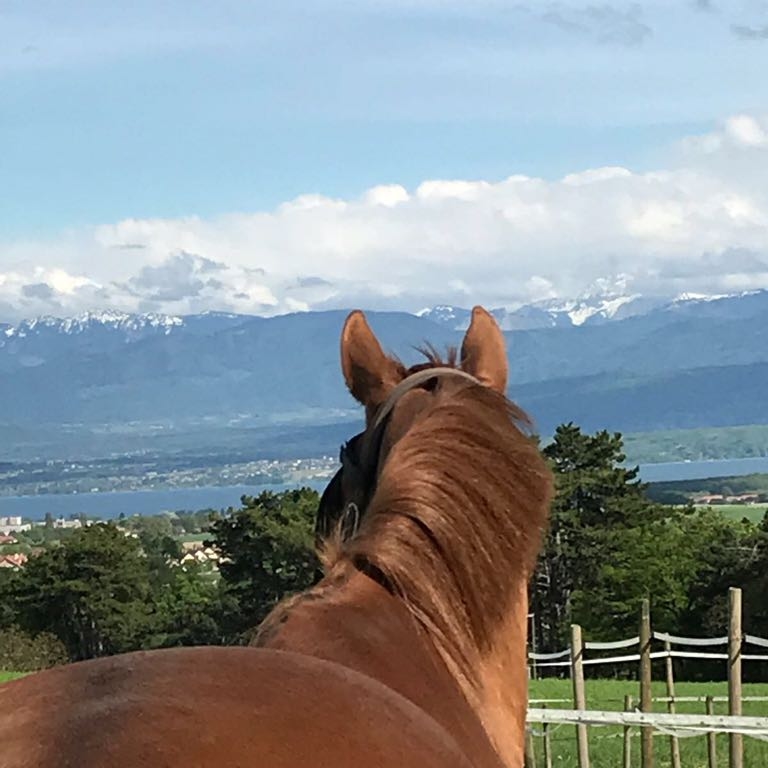 Parc individuel
