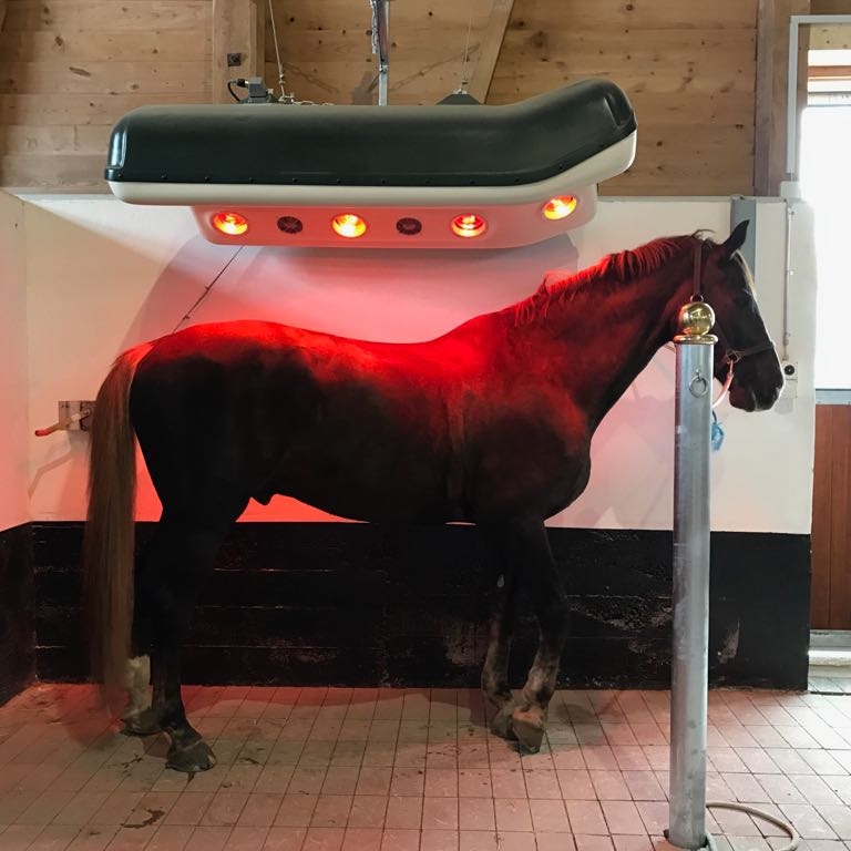 Solarium